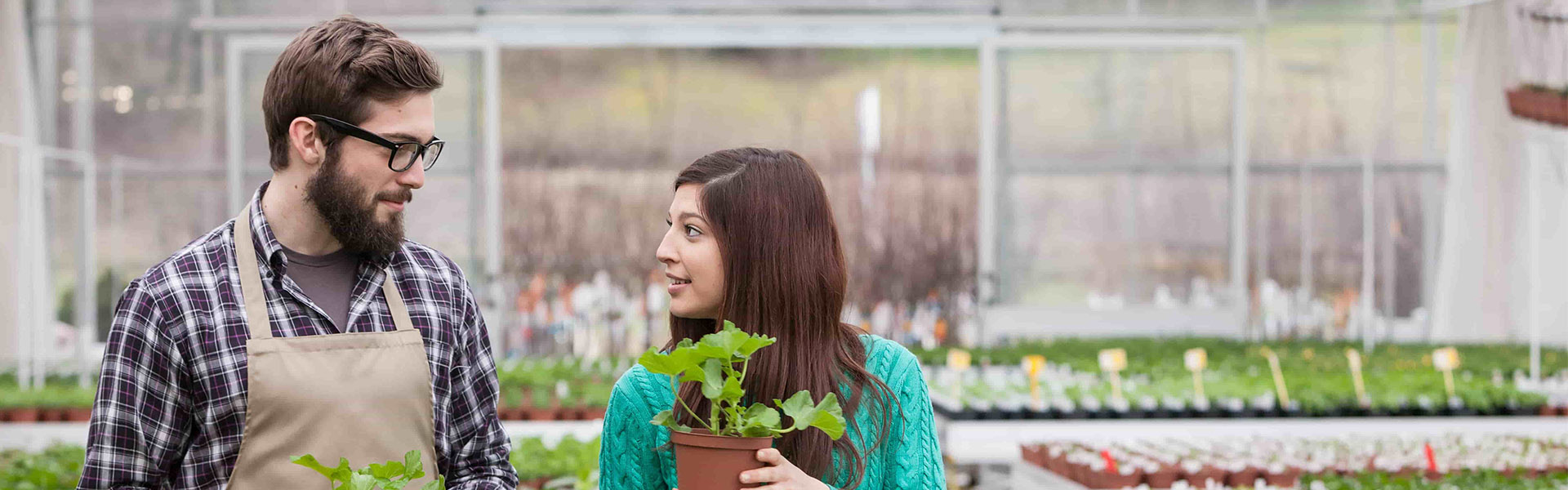 SBA loan programs for small businesses